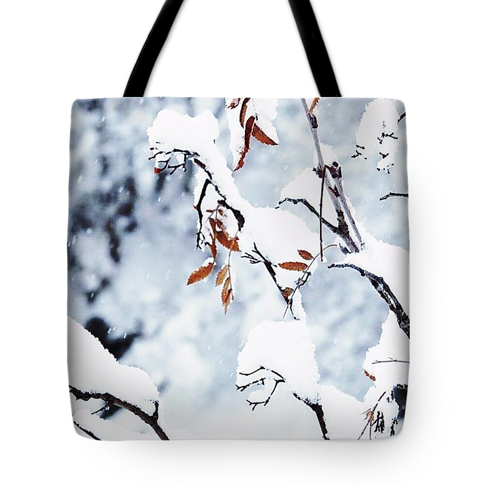 Flower Tote Bag featuring the photograph Snow by Cesar Vieira