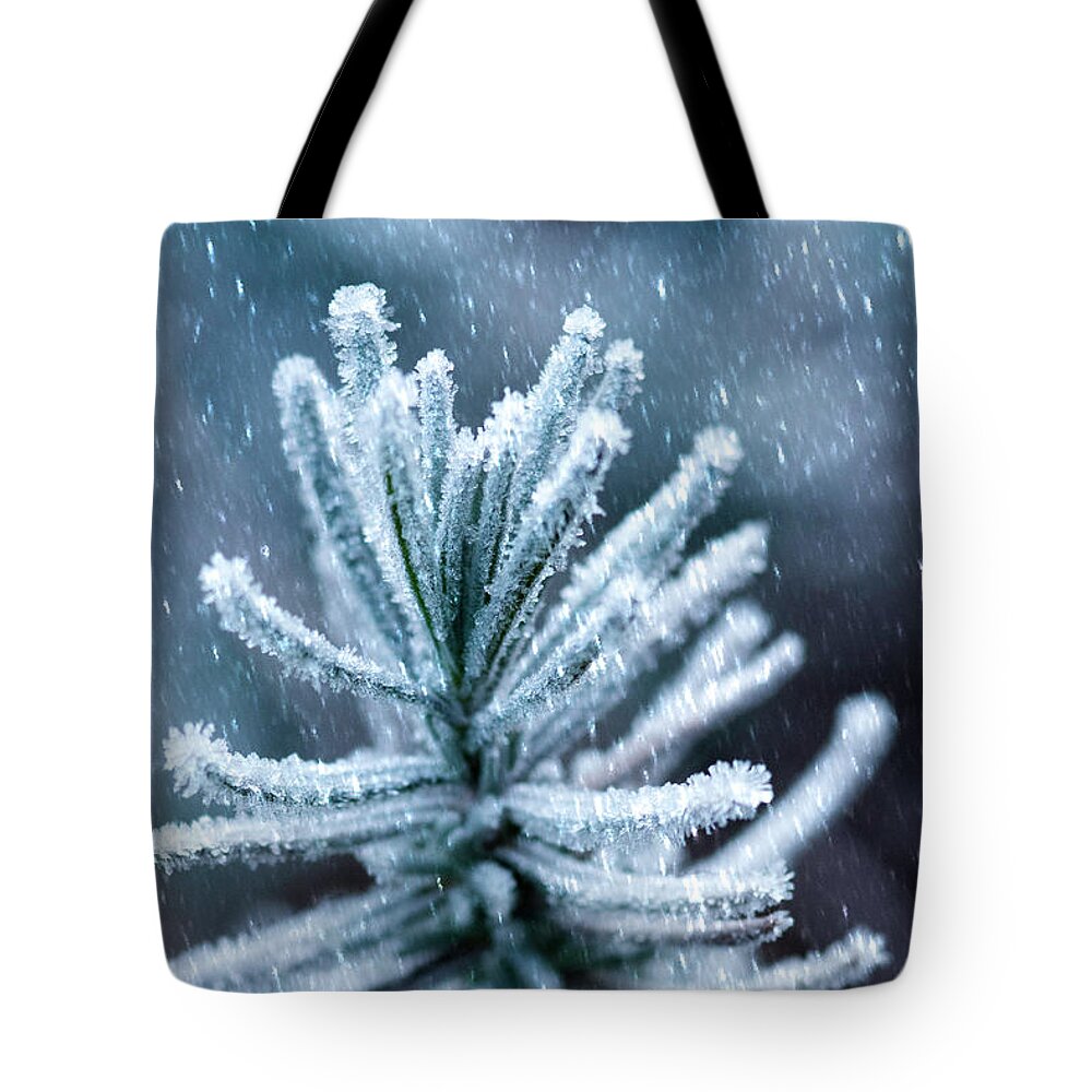 Snow Tote Bag featuring the photograph Snow Cover Pine by Crystal Wightman