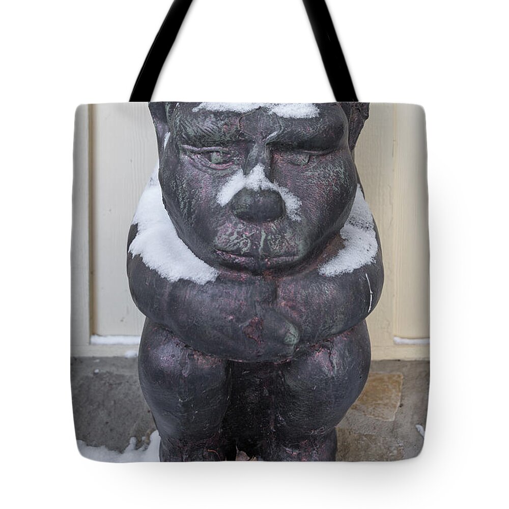 Chimera Tote Bag featuring the photograph Snow Covered Chimera by D K Wall