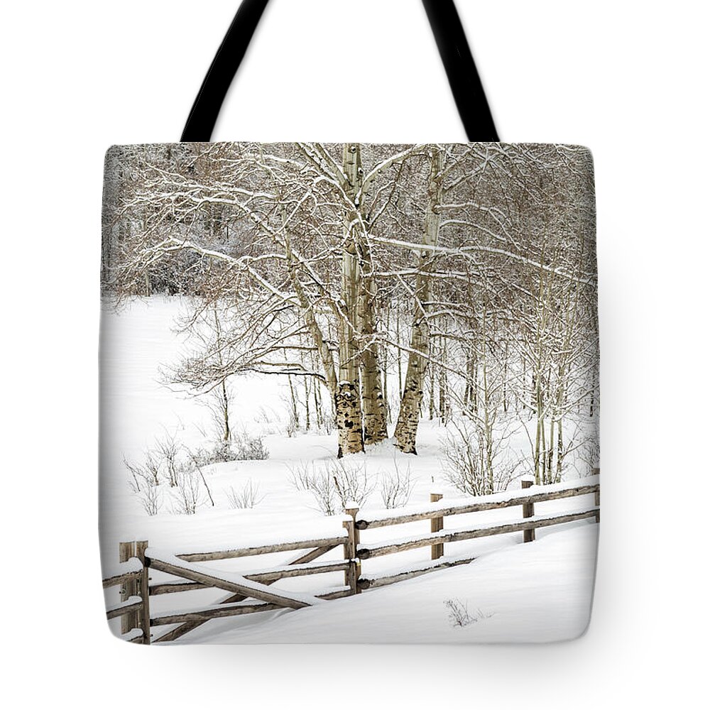Aspen Tote Bag featuring the photograph Snow-covered by Denise Bush