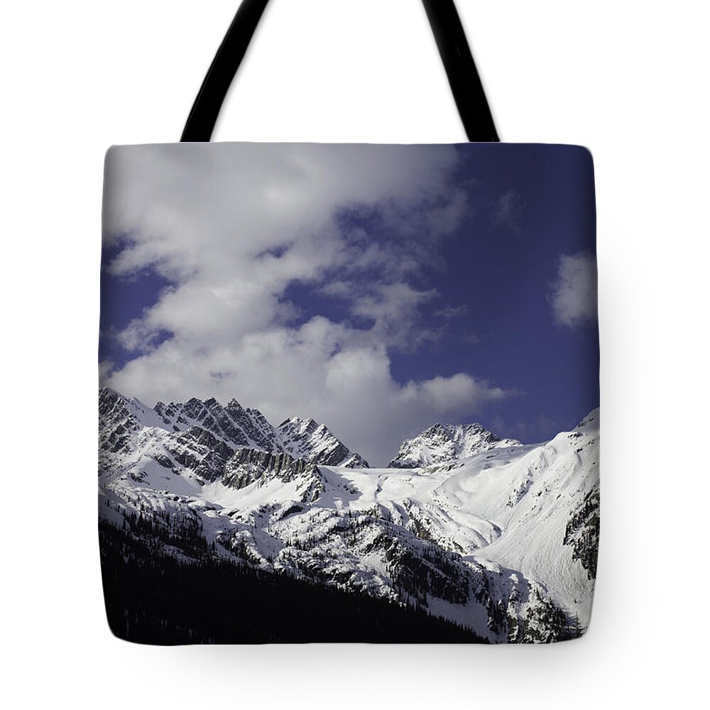Landscape Tote Bag featuring the photograph Snow Covered Mountains by Donna L Munro