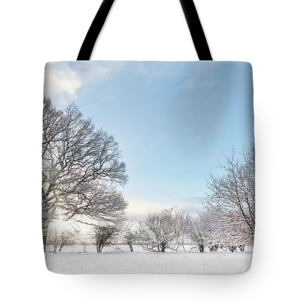 Snow Tote Bag featuring the photograph Snow covered tree line with early morning sunrise by Simon Bratt