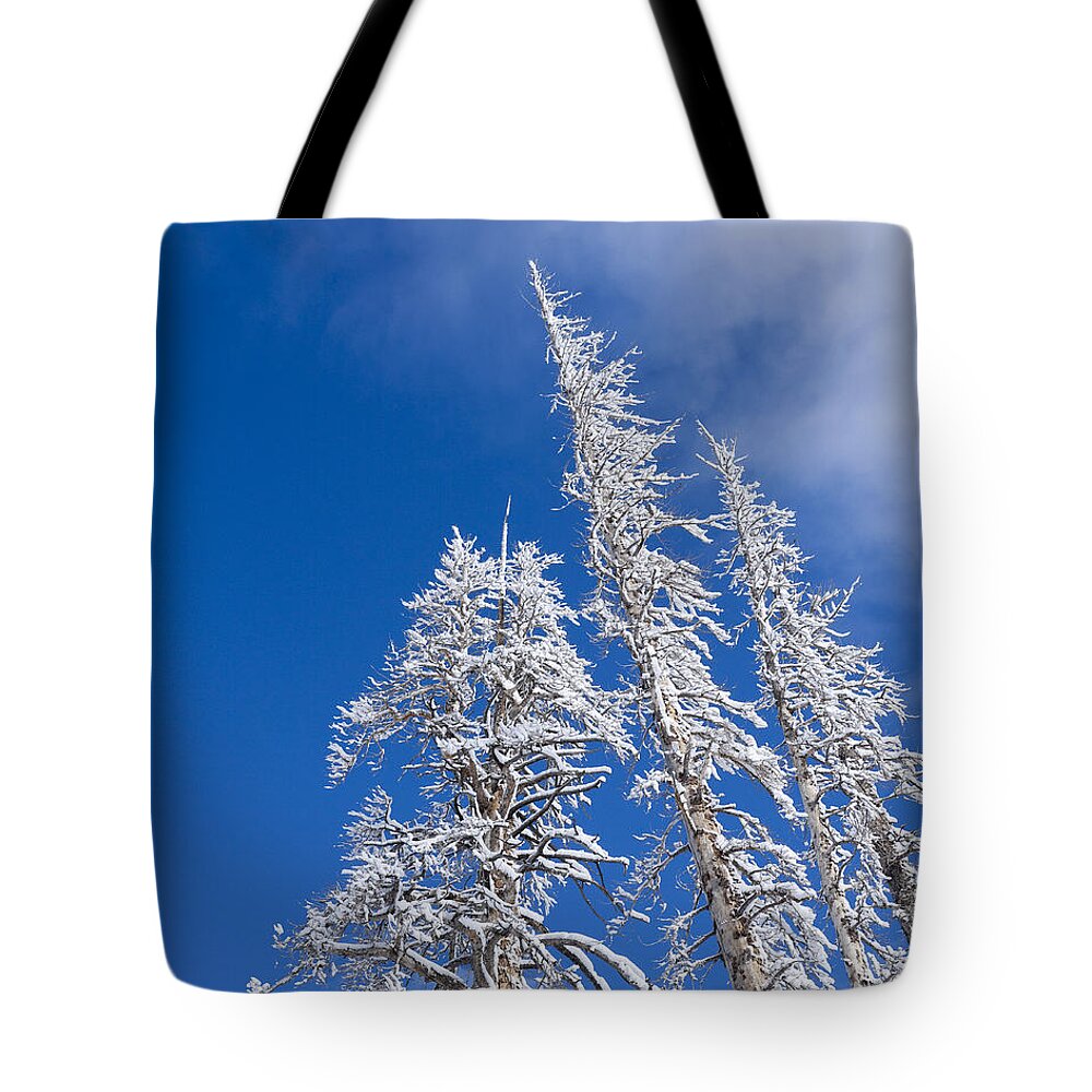 Winter Tote Bag featuring the photograph Snow Covered Trees by Kelley King