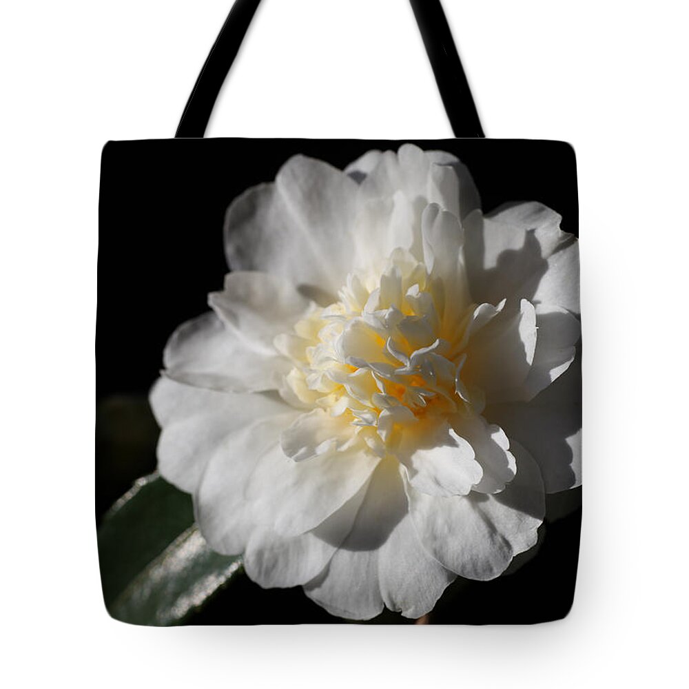 Camellia Tote Bag featuring the photograph Snow Flurry by Tammy Pool