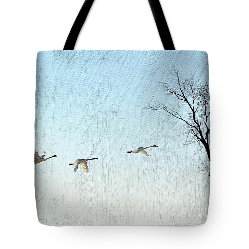 Geese Tote Bag featuring the photograph Snow Geese in Flight by Marty Koch