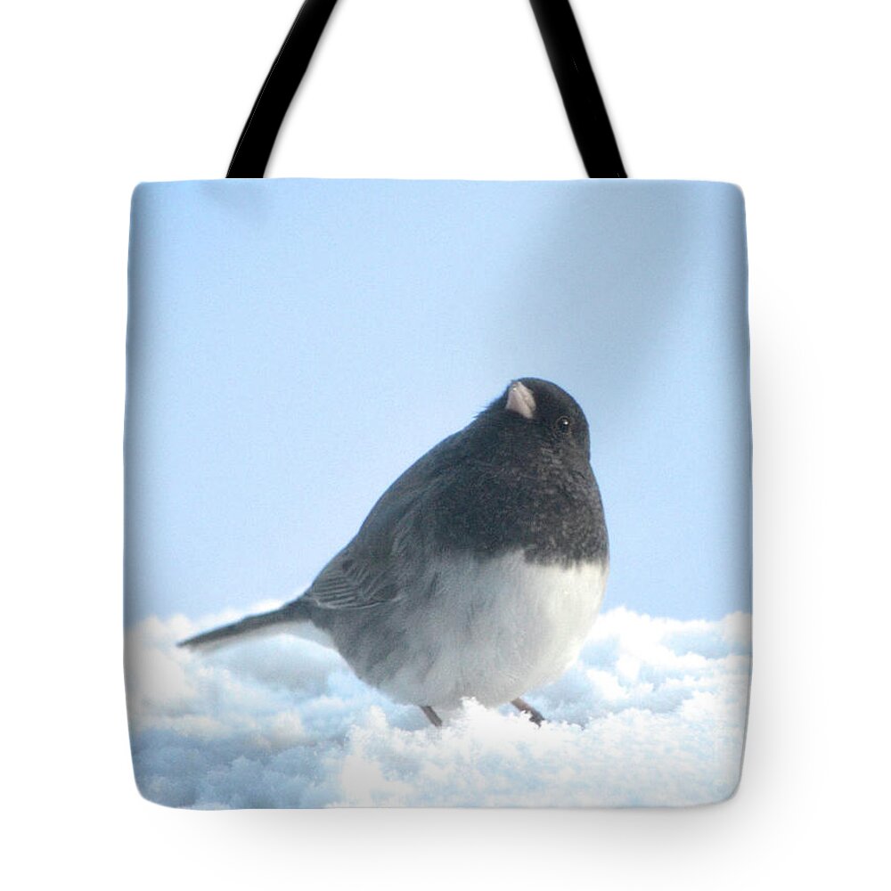  Tote Bag featuring the photograph Snow Hopping #2 by Cindy Schneider