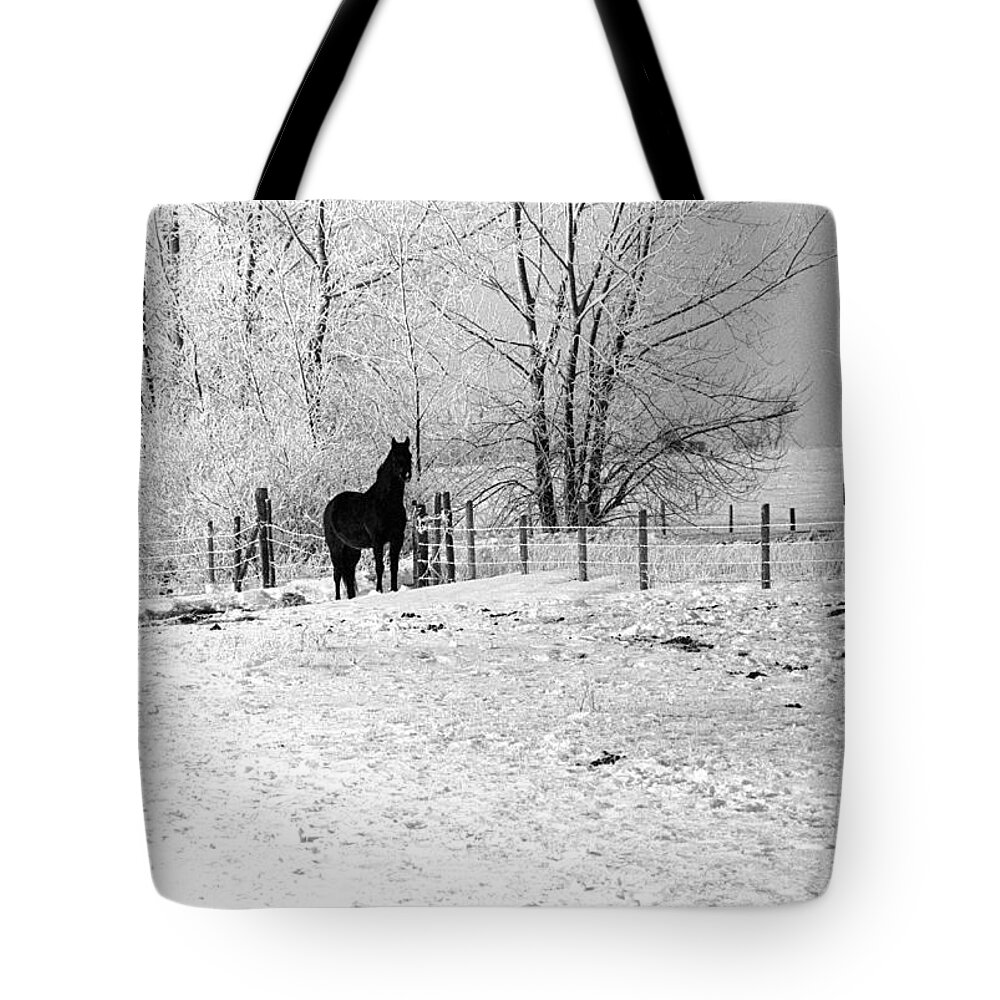 Horse Ward County North Dakota Tote Bag featuring the photograph Snow Horse by William Kimble