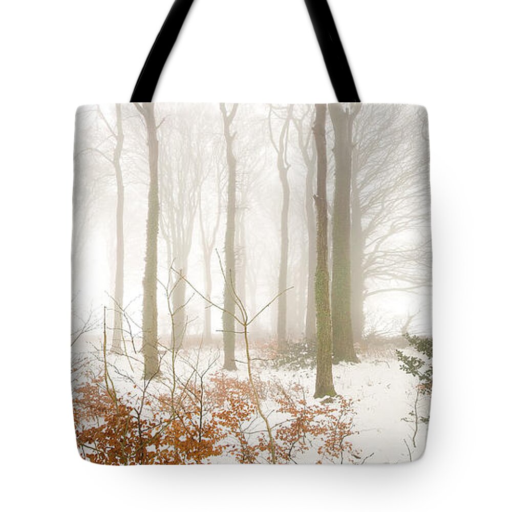 Snow Tote Bag featuring the photograph Snow in the woods by Colin Rayner