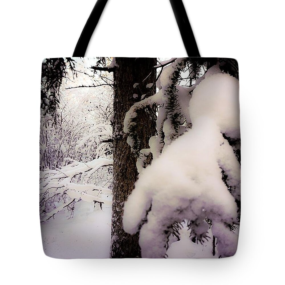 Canadian Landscape Photograph Tote Bag featuring the photograph Snow Ladened 1 by Desmond Raymond