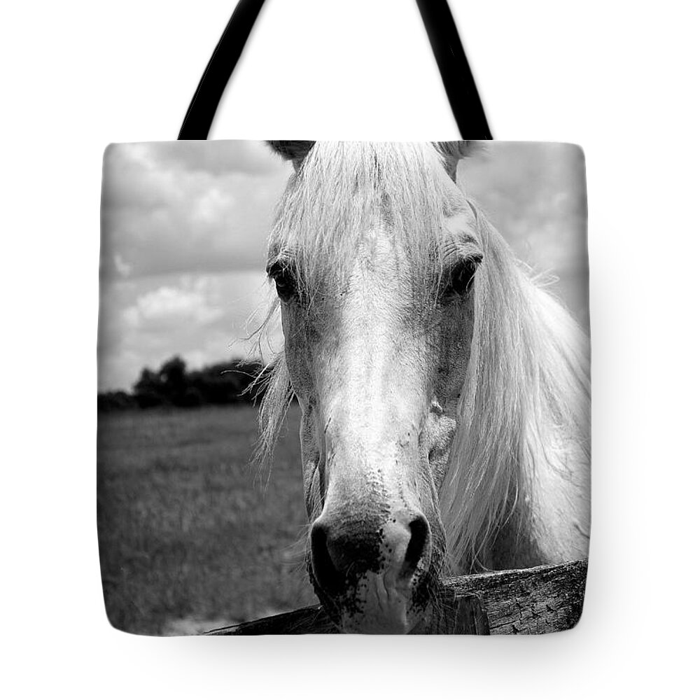 Mill Creek Farm Tote Bag featuring the photograph Snow by Laurie Perry