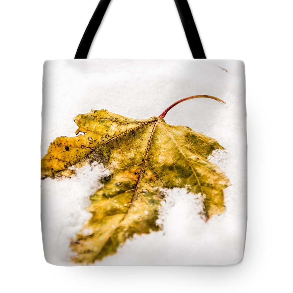 Jay Stockhaus Tote Bag featuring the photograph Snow Leaf by Jay Stockhaus