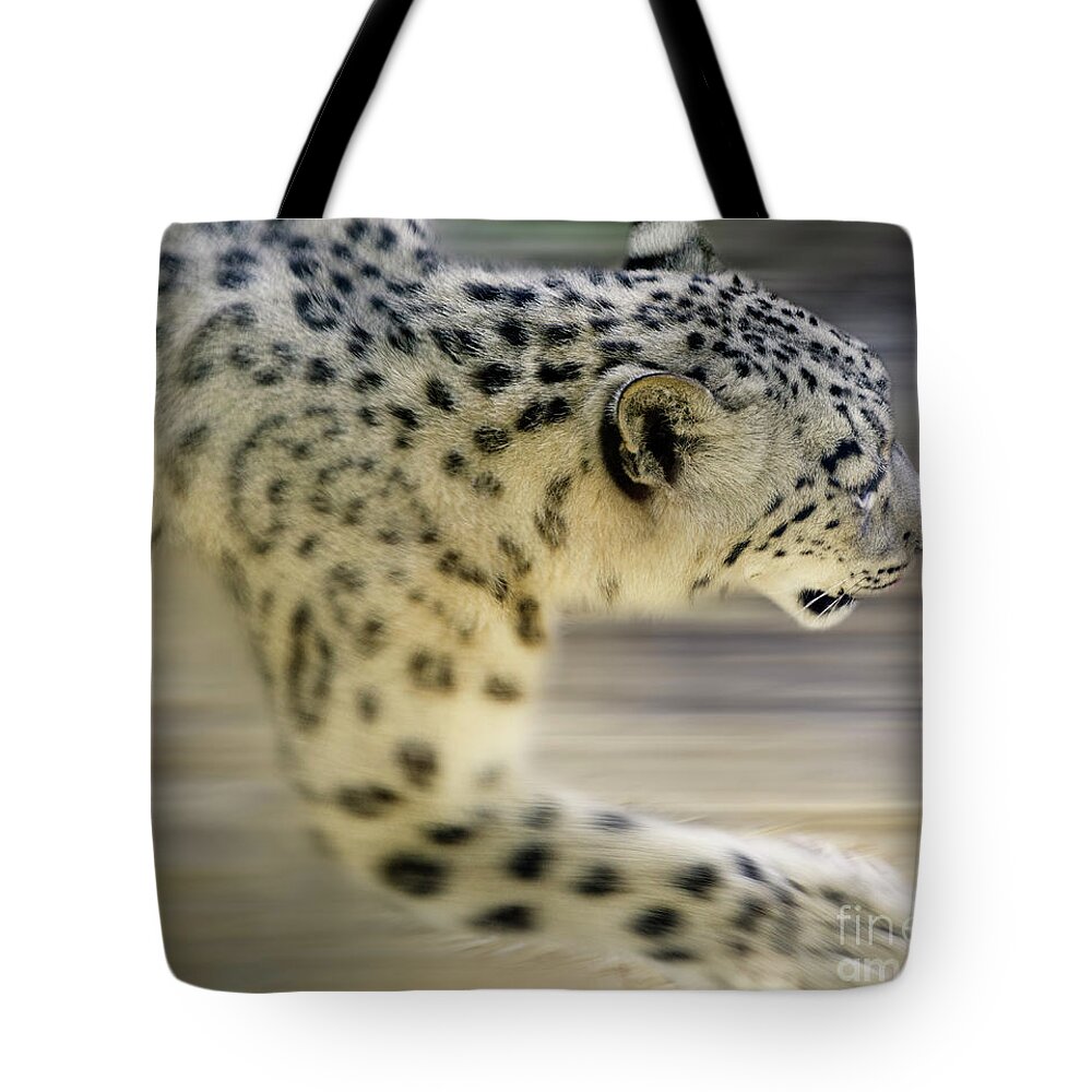 Snow Leopard Tote Bag featuring the photograph Snow Leopard On The Move by Bob Christopher