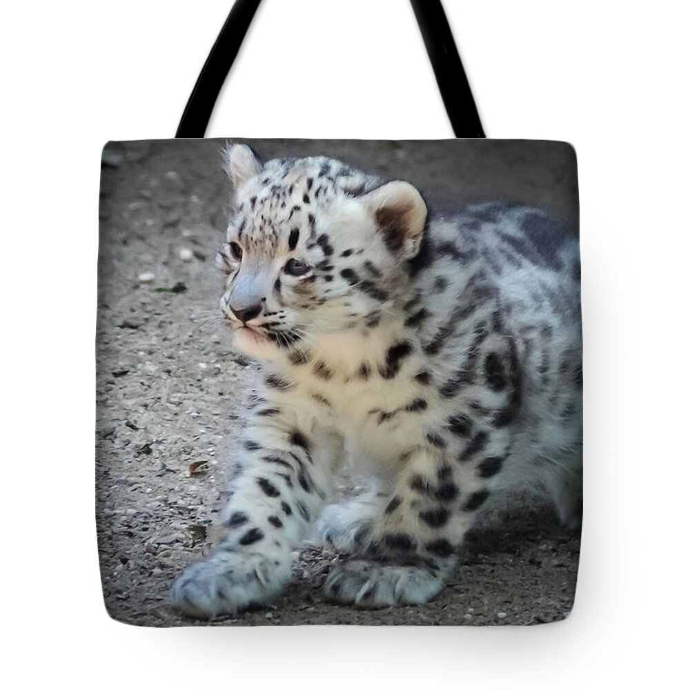Terry D Photography Tote Bag featuring the photograph Snow Leopard Cub by Terry DeLuco