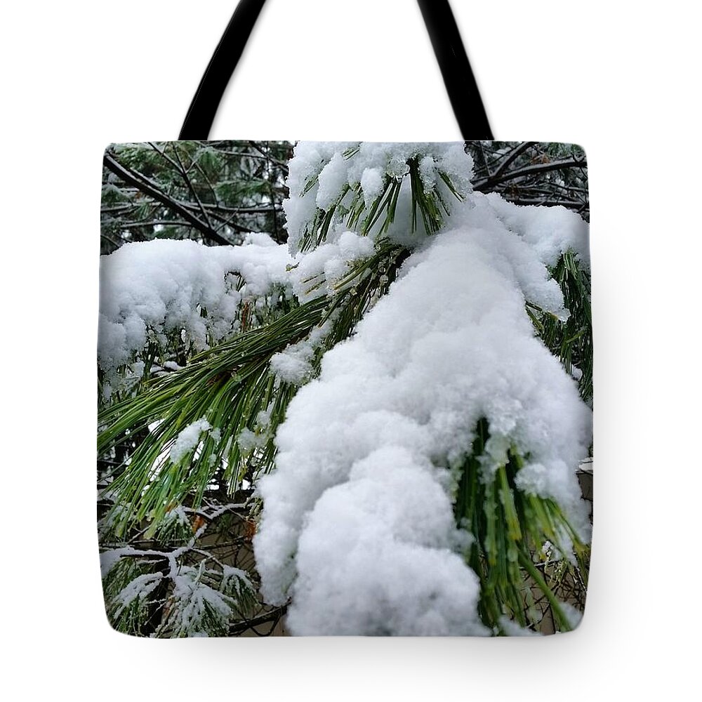 Snow Tote Bag featuring the photograph Snow on Evergreen Branch by Vic Ritchey