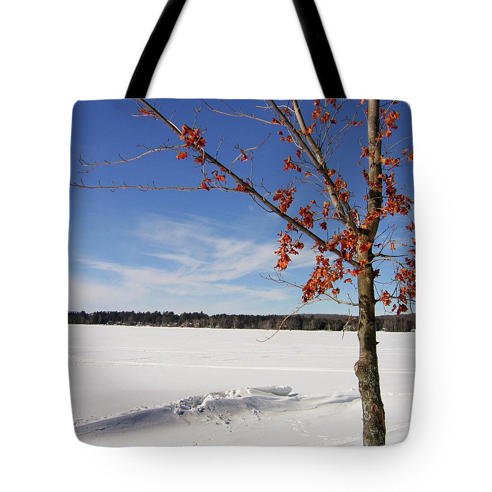 Snow Tote Bag featuring the photograph Snow Ripple by Denise Keegan Frawley
