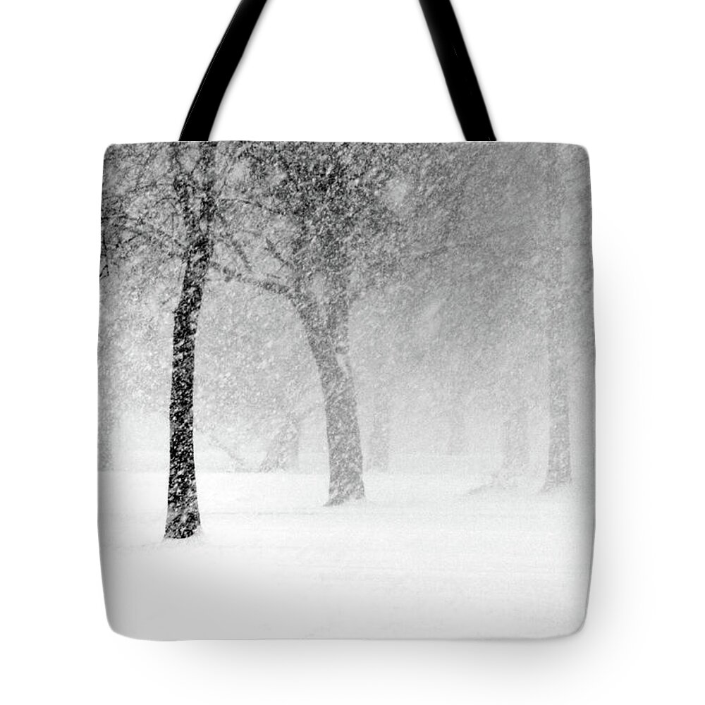 Snow Tote Bag featuring the photograph Snow Storm at Starved Rock by Paula Guttilla