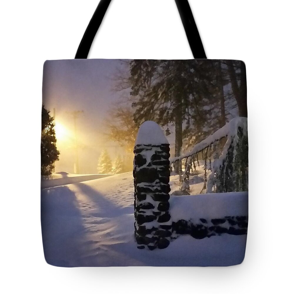 Snow Tote Bag featuring the photograph Snow Storm by Street Light by Vic Ritchey