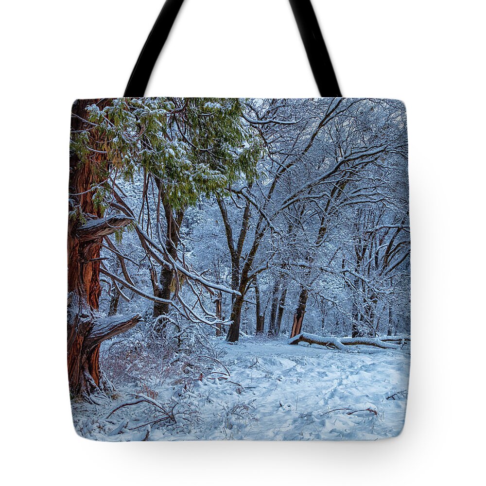 Landscape Tote Bag featuring the photograph Snow Trees by Jonathan Nguyen