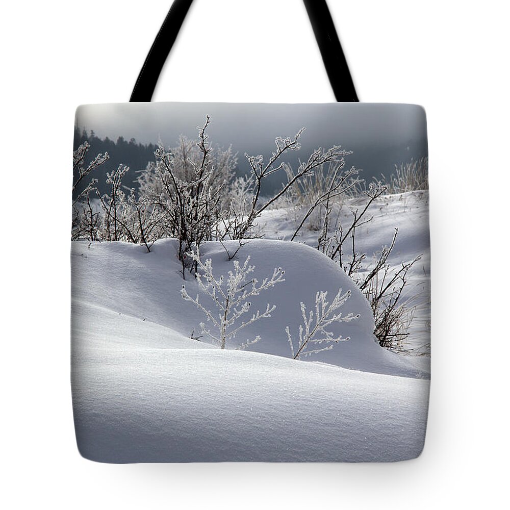Winter Tote Bag featuring the photograph Snow White by Kathy Bassett
