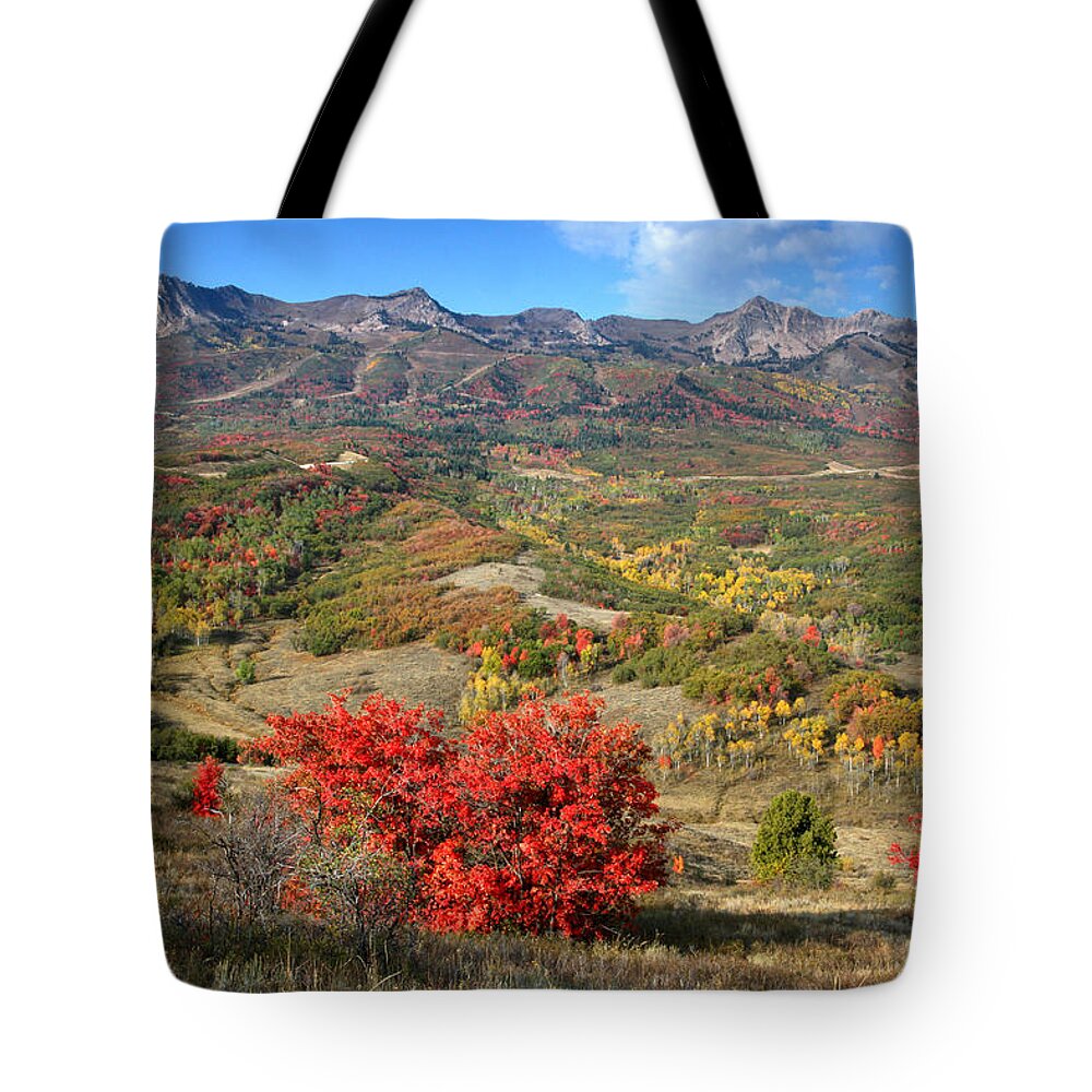 Snowbasin Tote Bag featuring the photograph Snowbasin and Autumn Colors by Brett Pelletier