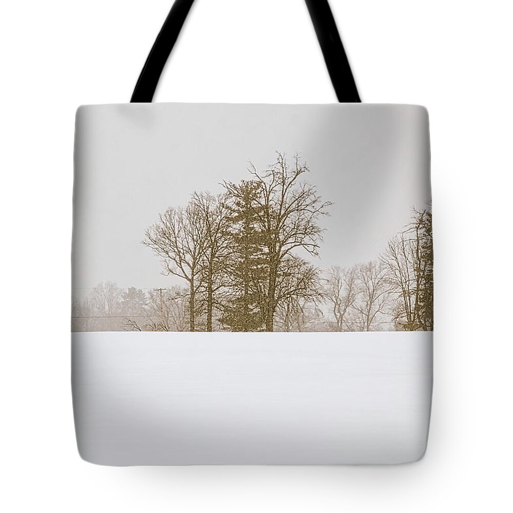 Snowfall Tote Bag featuring the photograph Snowfall - by Julie Weber