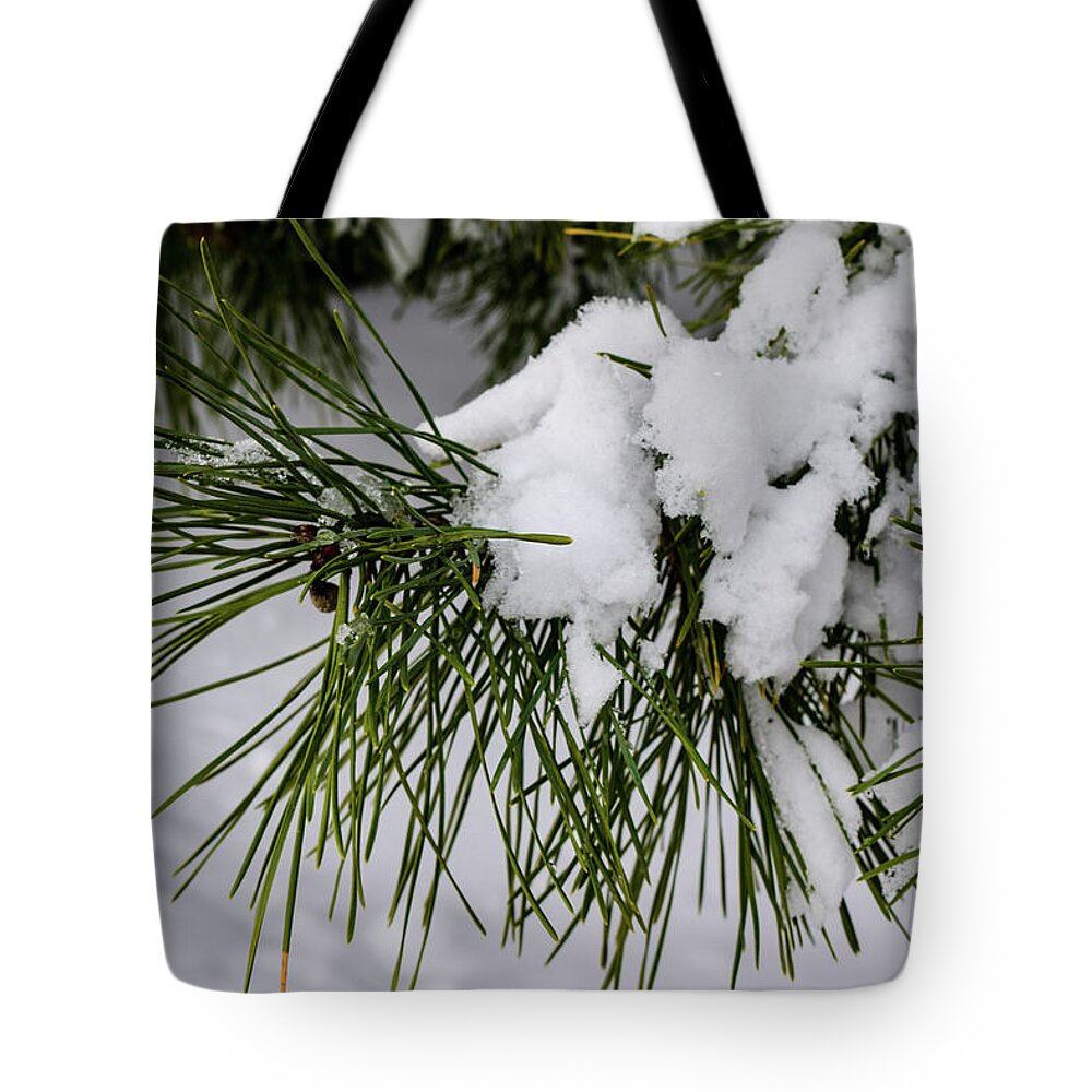 Snow Tote Bag featuring the photograph Snowy Branch by Nicole Lloyd