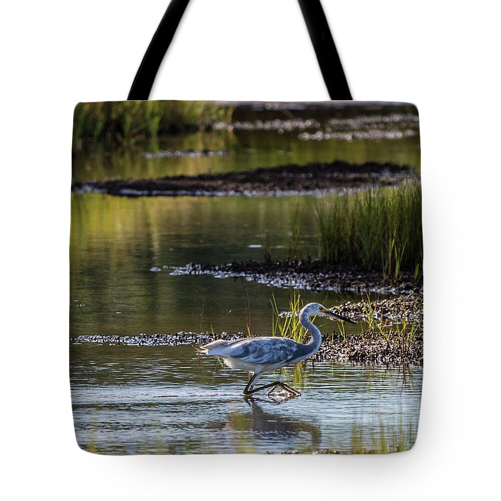 Maine Tote Bag featuring the photograph Snowy Egret X Tricolor Heron #1 by David Bishop