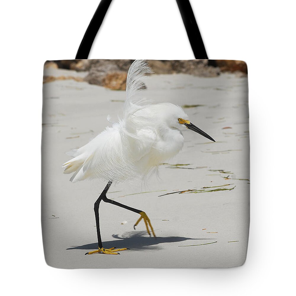 Lido Beach Tote Bag featuring the photograph Snowy Egret 6429 Windy by Steve Somerville