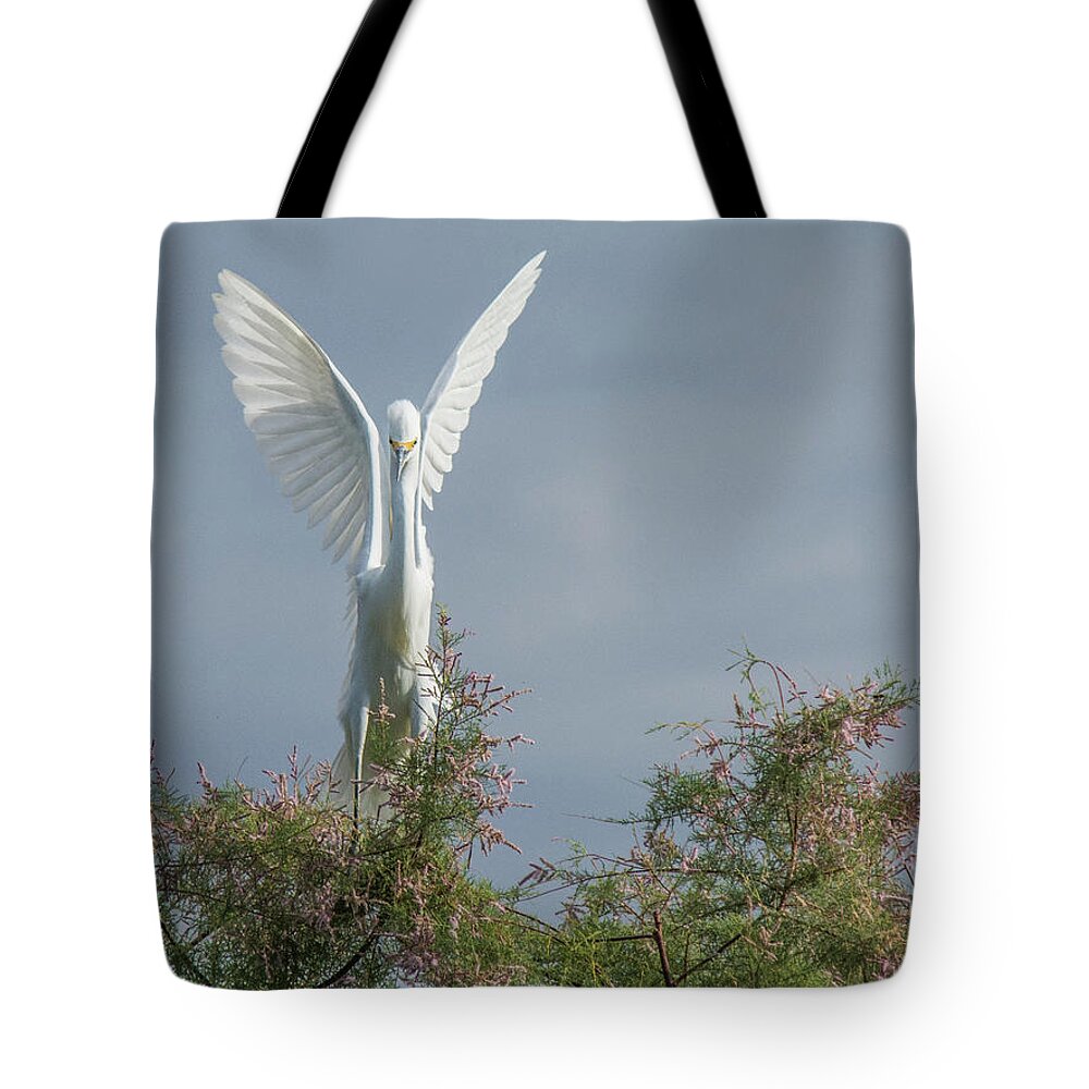 Snowy Tote Bag featuring the photograph Snowy Egret 6844-100517-2 by Tam Ryan