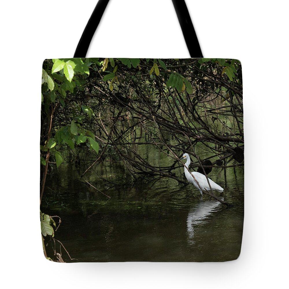 Egret Tote Bag featuring the photograph Snowy Egret by Jessica Levant