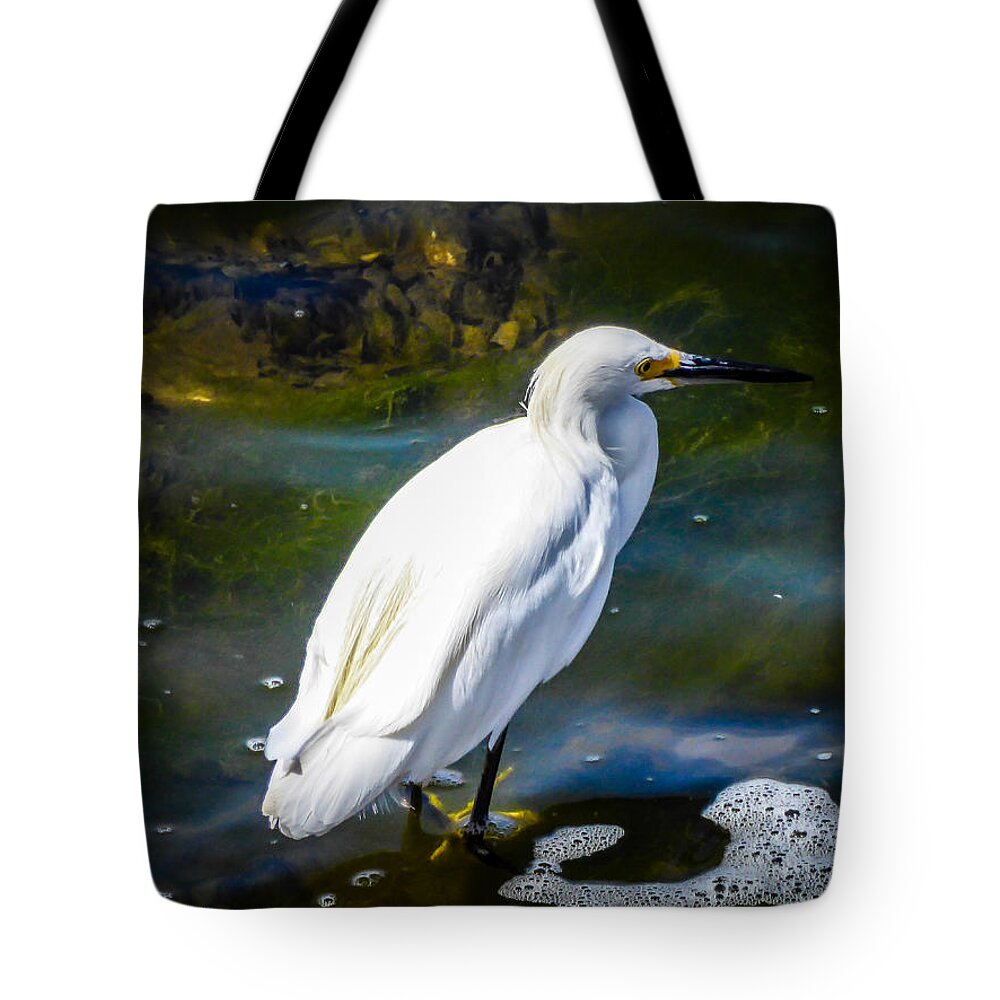 Snowy Egret Tote Bag featuring the photograph Snowy Egret by Pamela Newcomb