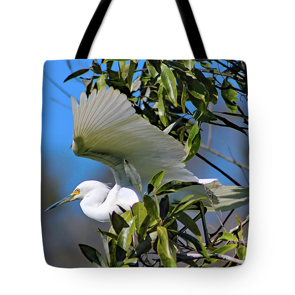 Nature Tote Bag featuring the photograph Snowy Egret Taking Flight - Egretta Thula by DB Hayes