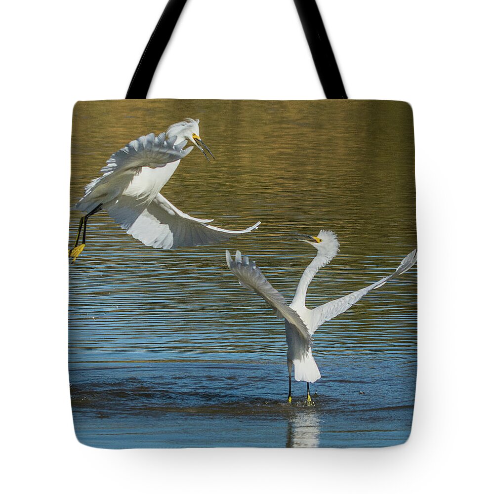 Snowy Tote Bag featuring the photograph Snowy Egrets Dispute 3617-112317-1cr by Tam Ryan