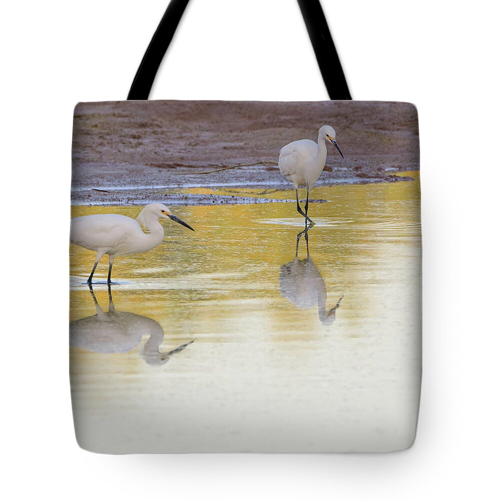 Snowy Tote Bag featuring the photograph Snowy Egrets Reflection 7231-042518-1cr by Tam Ryan