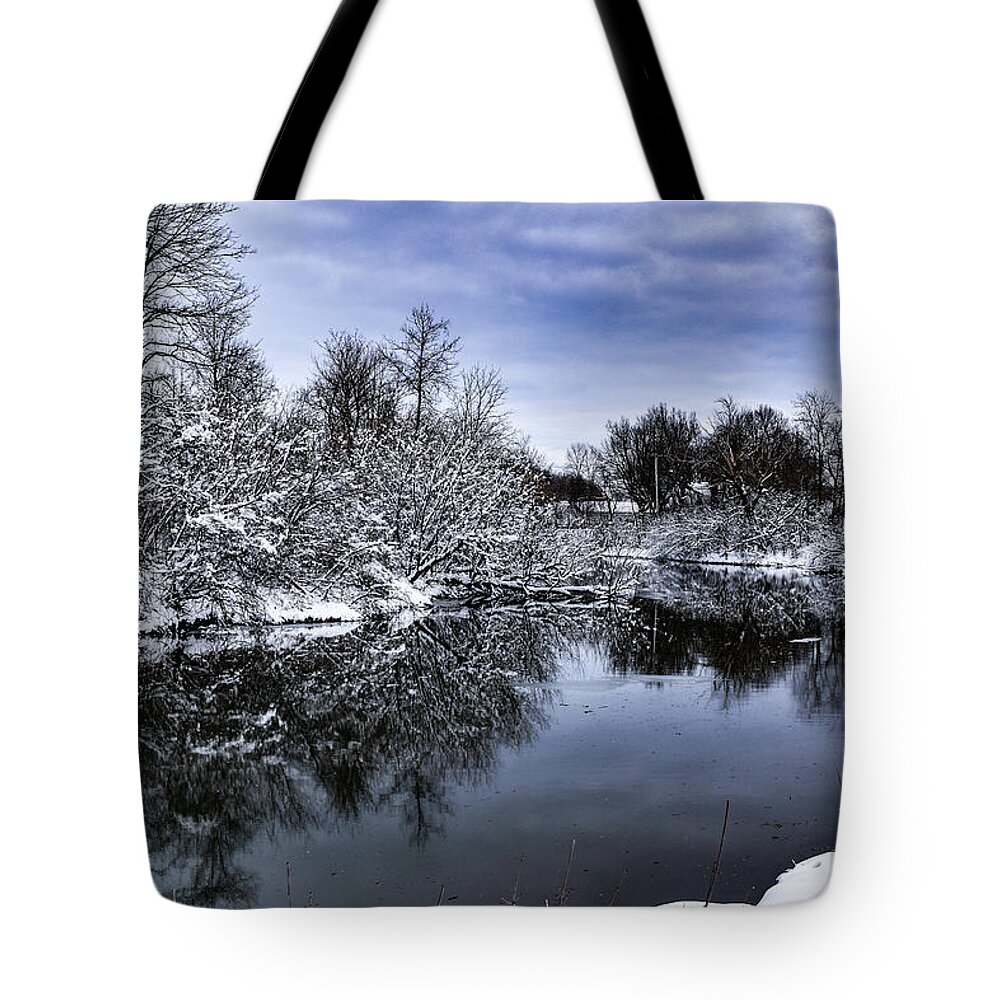 Snow Tote Bag featuring the photograph Snowy Ellicott Creek by Nicole Lloyd