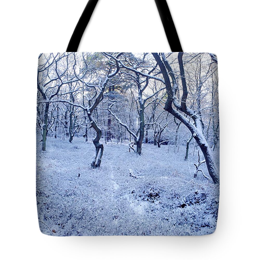 Snowy Tote Bag featuring the photograph Snowy forest panorama by Warren Photographic