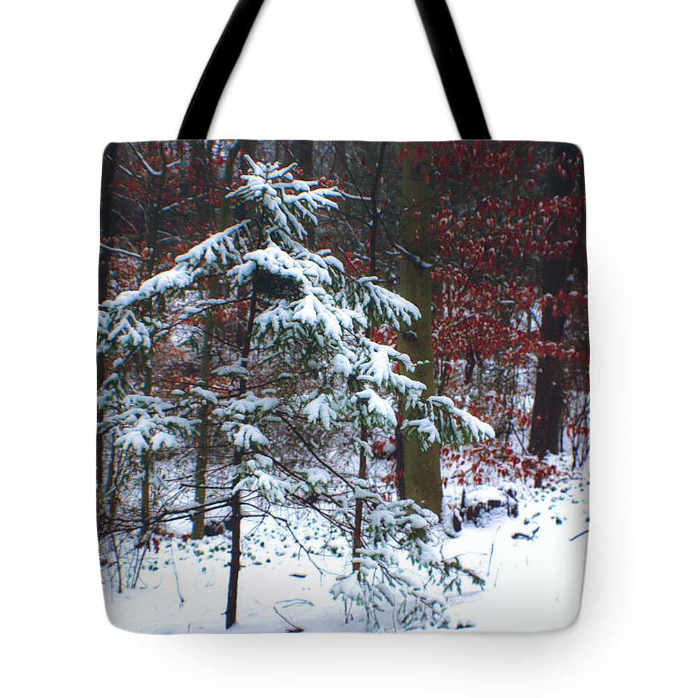 Pine Tote Bag featuring the photograph Snowy Little Fir by Sandy Moulder