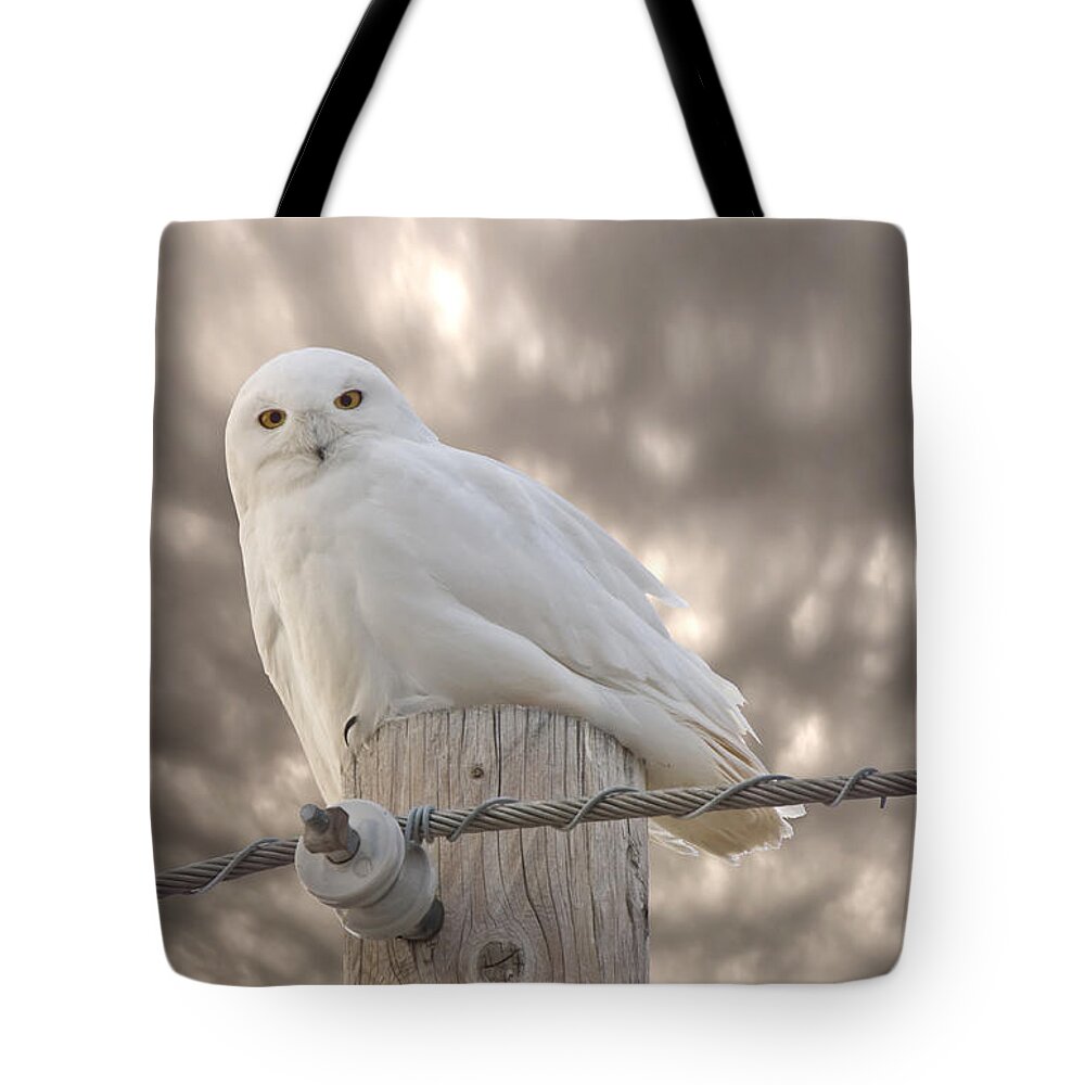 Snowy Tote Bag featuring the digital art Snowy Owl Saskatchewan Canada by Mark Duffy