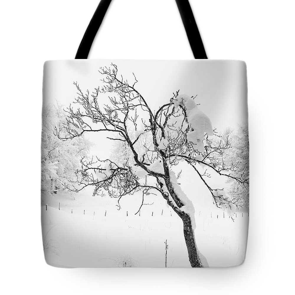 Snowy Landscape Tote Bag featuring the photograph Snowy tree - 4 by Paul MAURICE