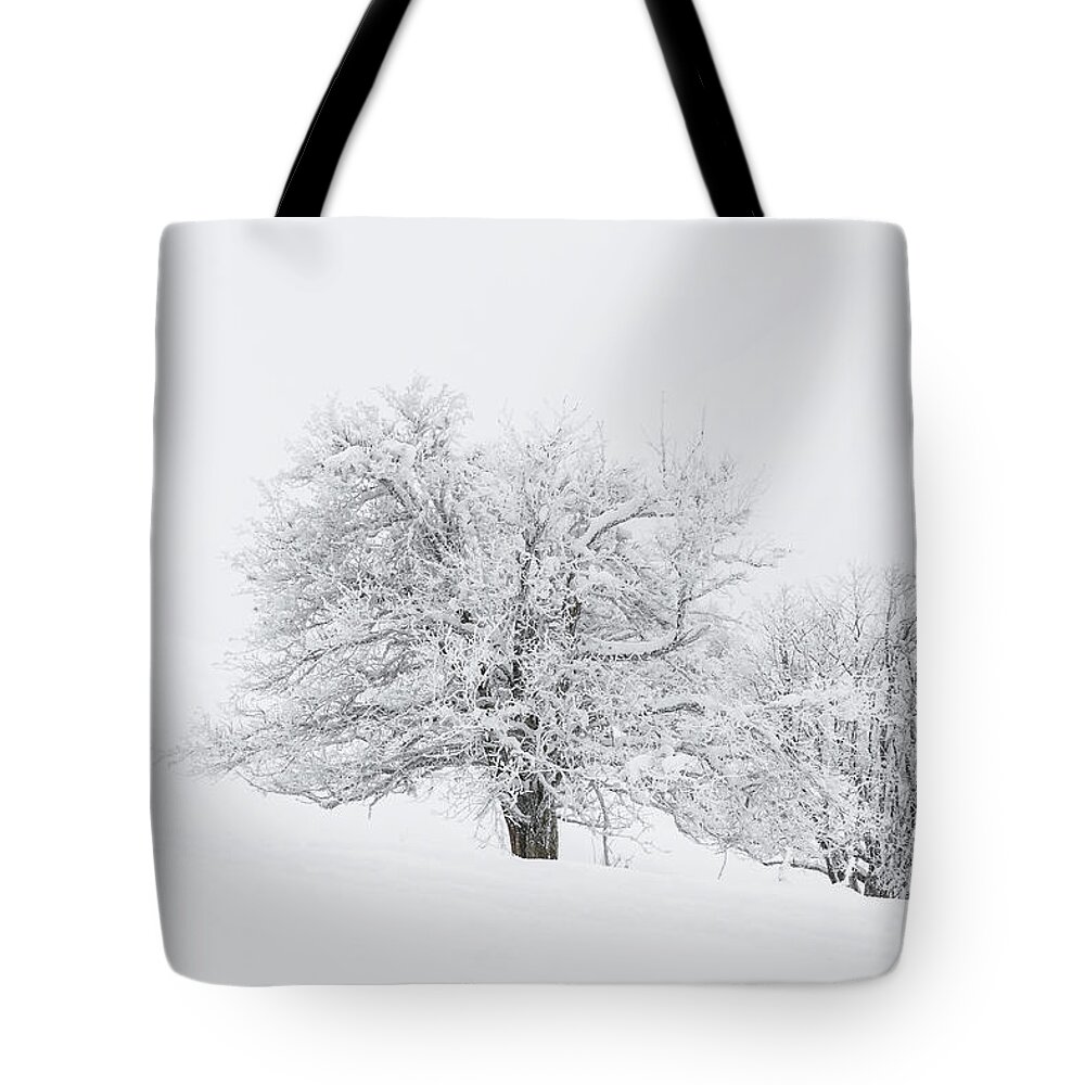 Snowy Landscape Tote Bag featuring the photograph Snowy trees - 5 by Paul MAURICE