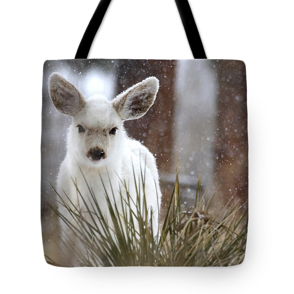 White Fawn Tote Bag featuring the photograph Snowy White Fawn by Mindy Musick King