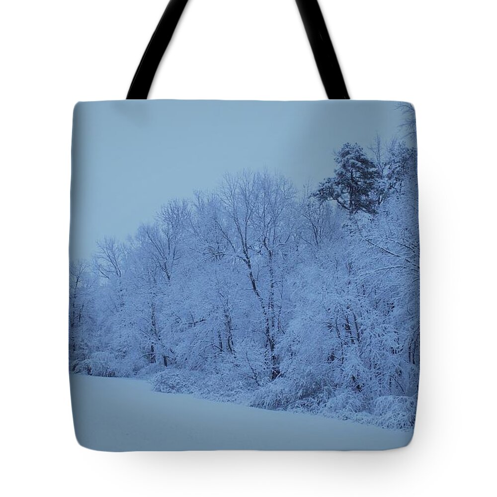 Snow Tote Bag featuring the photograph Snowy White Limbs with Arctic Filter by Ali Baucom
