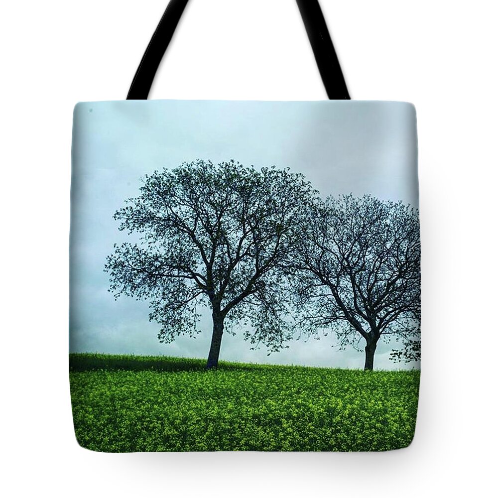 Leicagram Tote Bag featuring the photograph So Good To Be Back In Switzerland, This by Aleck Cartwright