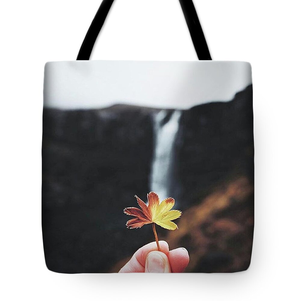 Exploretocreate Tote Bag featuring the photograph So Many Big Views In Iceland It's Easy by Dan Cook