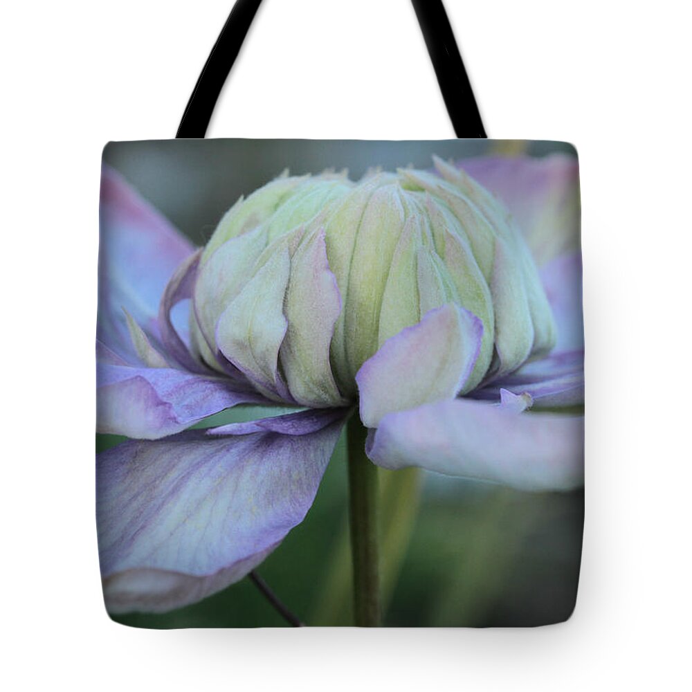 Clematis Tote Bag featuring the photograph Soft And Cozy by Connie Handscomb