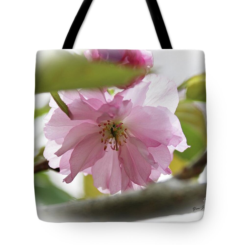 Flowers Tote Bag featuring the photograph Soft and Gentle by Yumi Johnson