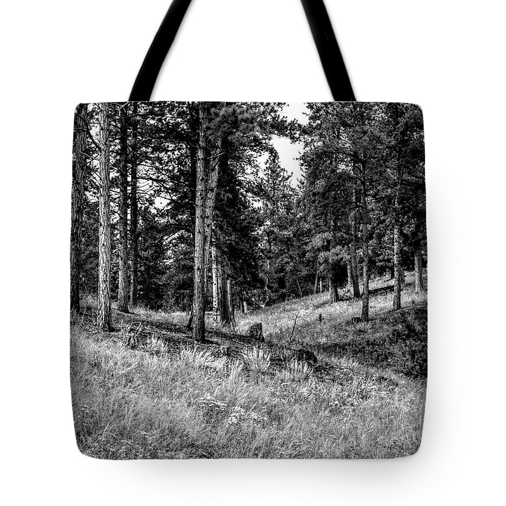Forest Tote Bag featuring the photograph Soft Forest by Michael Brungardt