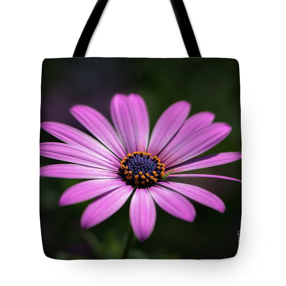 Flower Tote Bag featuring the photograph Soft Petals by Andrea Silies