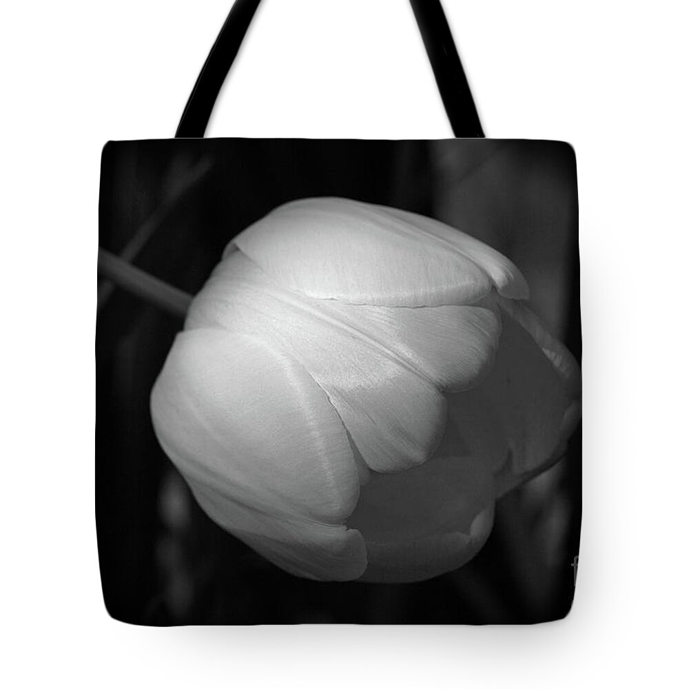 Bulb Tote Bag featuring the photograph Softly by Jim Gillen