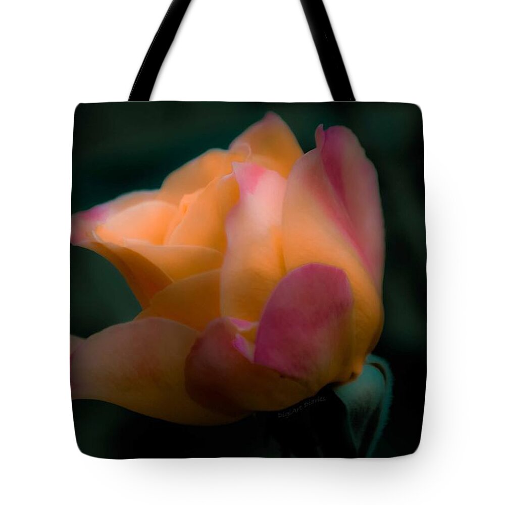 Rose Tote Bag featuring the photograph Softly Pouting by DigiArt Diaries by Vicky B Fuller